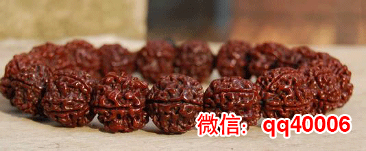 金刚菩提的保养