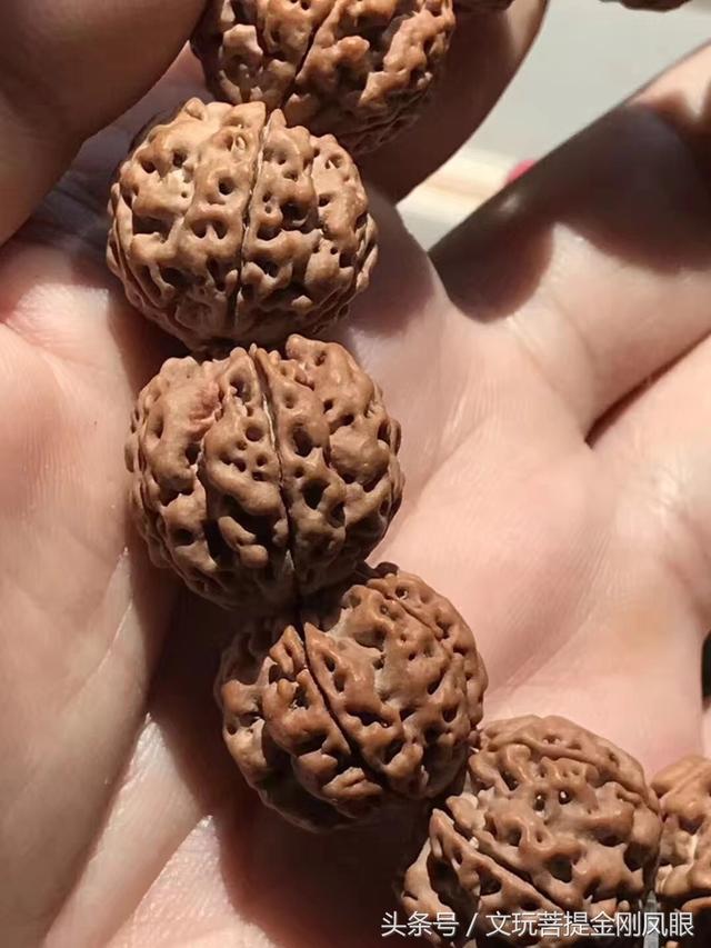 金刚菩提梅花双龙