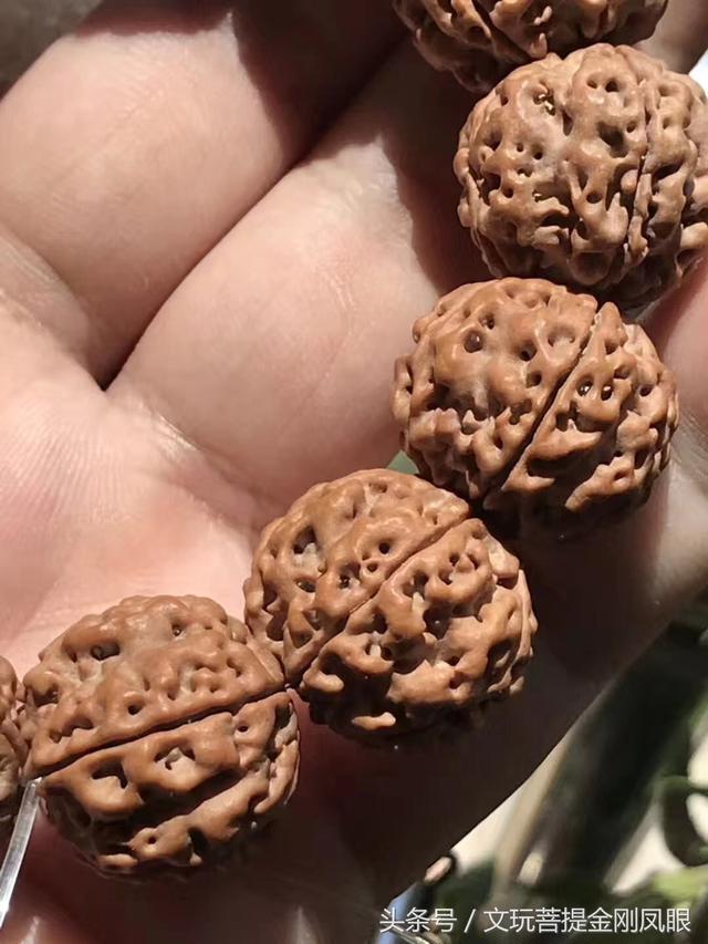 金刚菩提梅花双龙