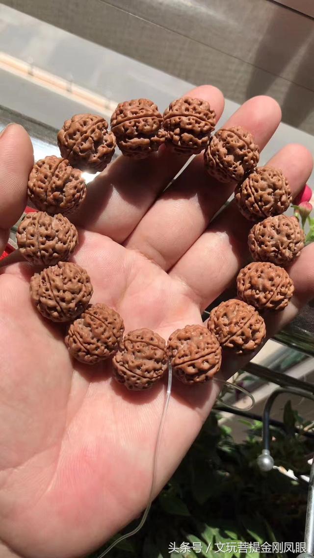 金刚菩提梅花双龙