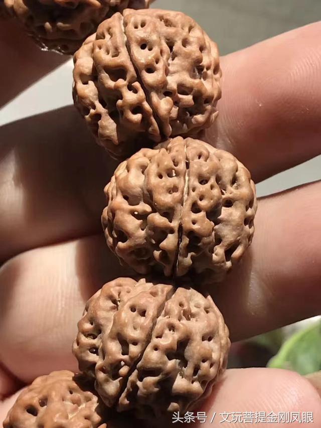 金刚菩提梅花双龙
