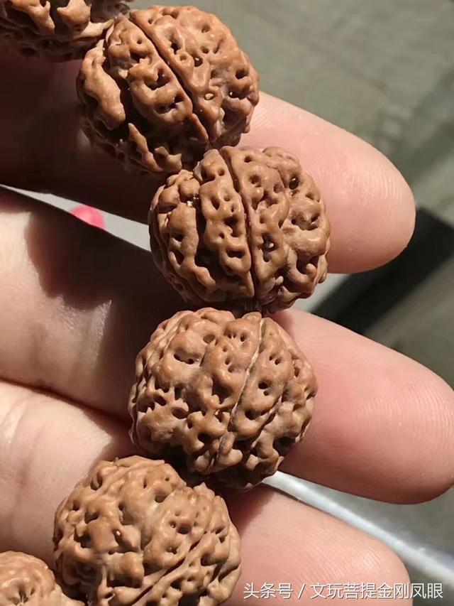 金刚菩提梅花双龙