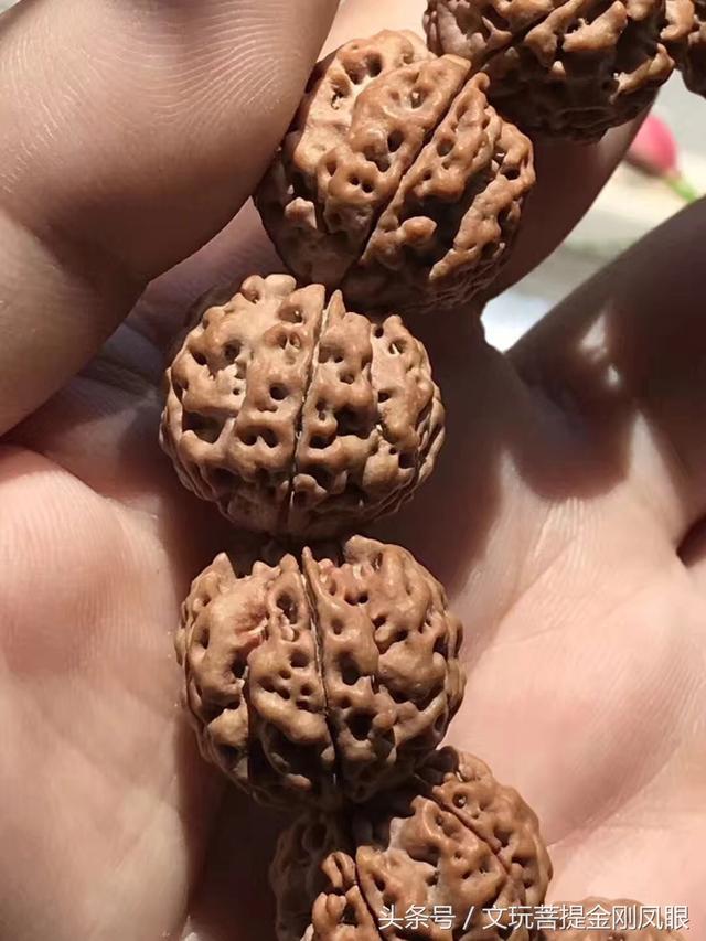 金刚菩提梅花双龙