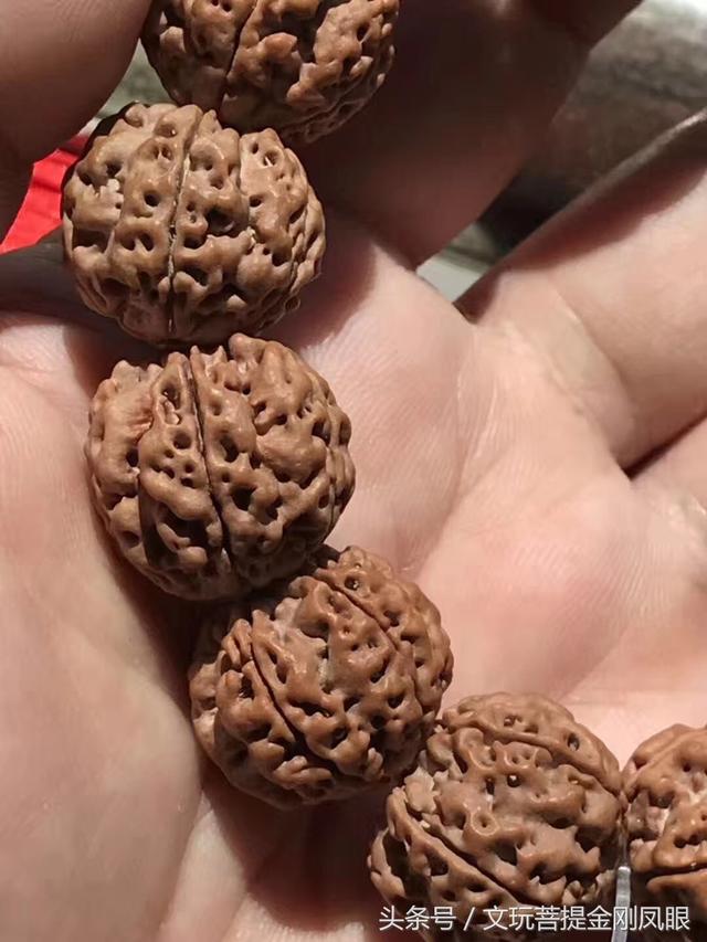金刚菩提梅花双龙
