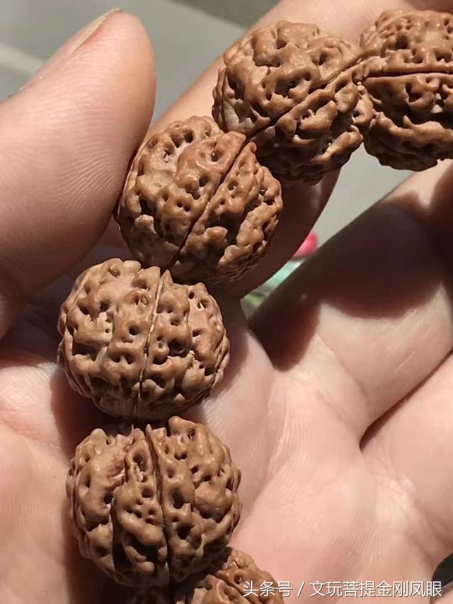 金刚菩提梅花双龙
