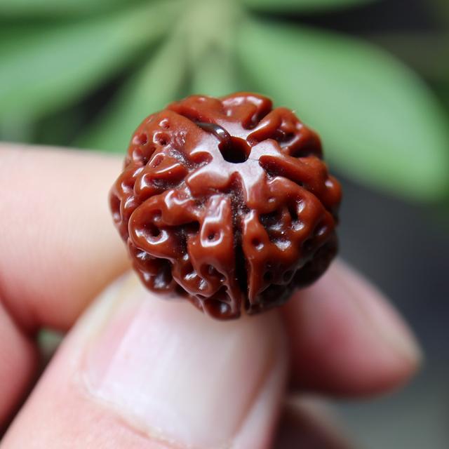 怪了，为何金刚菩提文玩珠串最受玩友钟爱？