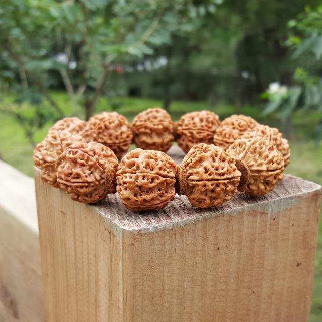 怪了，为何金刚菩提文玩珠串最受玩友钟爱？