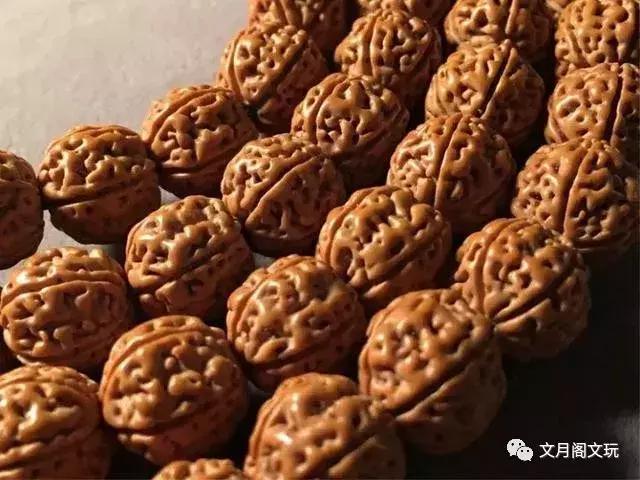 金刚菩提，边玩边致富