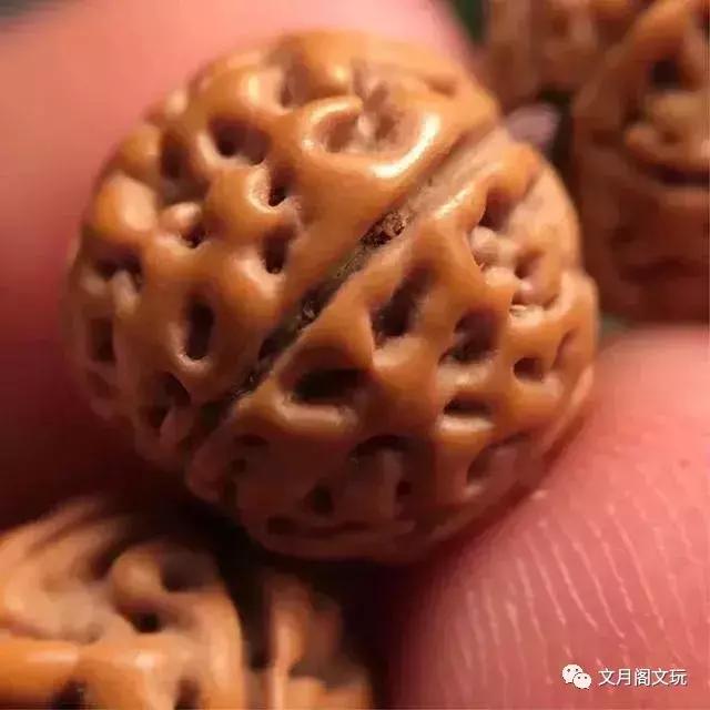 金刚菩提，边玩边致富