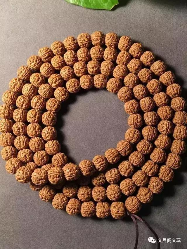 金刚菩提，边玩边致富
