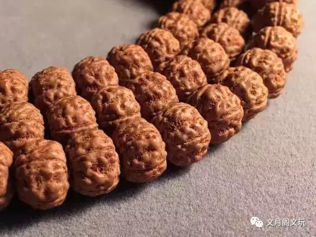 金刚菩提，边玩边致富