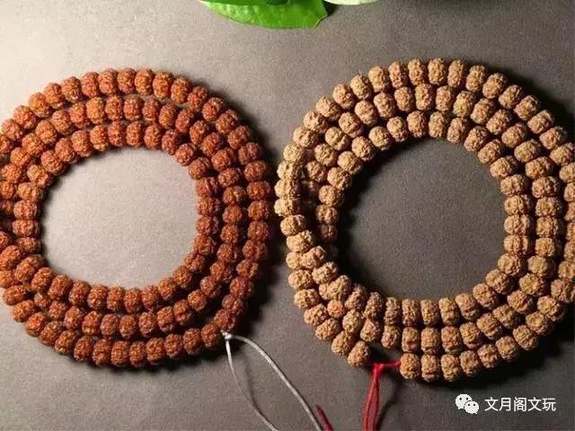 金刚菩提，边玩边致富