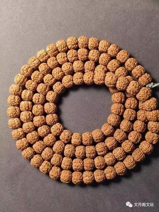 金刚菩提，边玩边致富