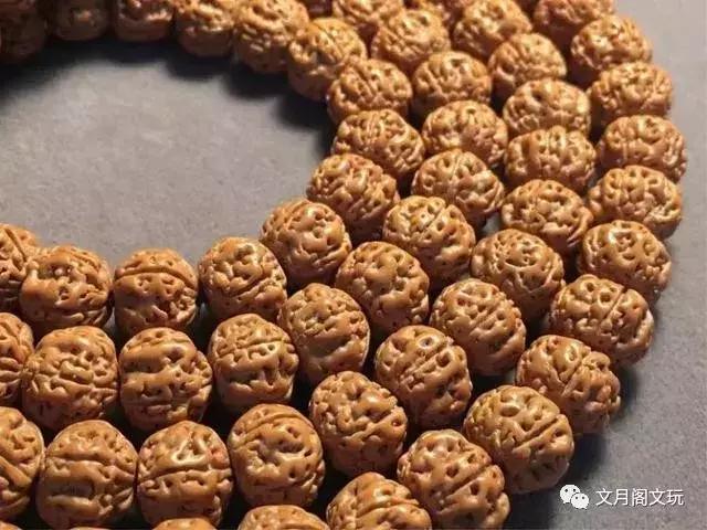金刚菩提，边玩边致富