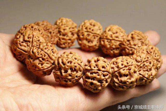 金刚菩提大讲堂之金刚菩提误区