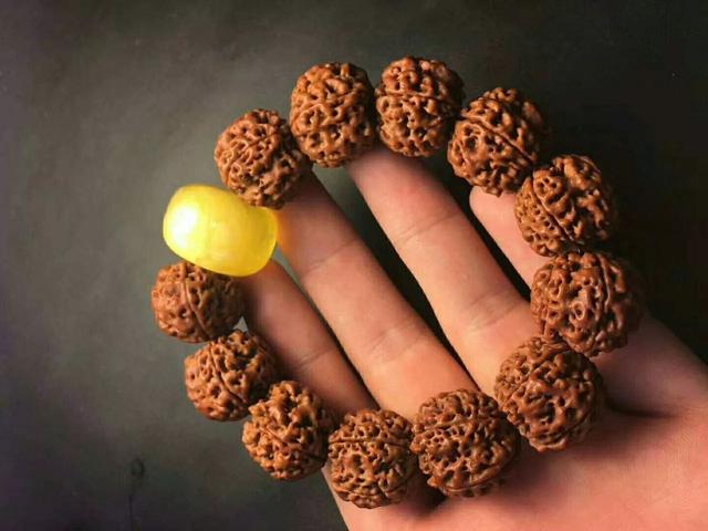 轻松保养金刚菩提