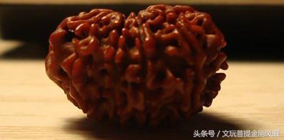 揭秘金刚菩提变红之谜