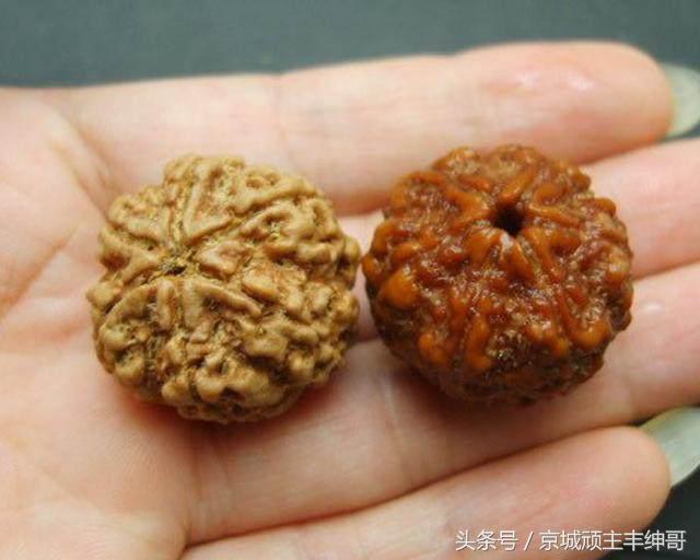 金刚菩提大讲堂之金刚菩提清洗