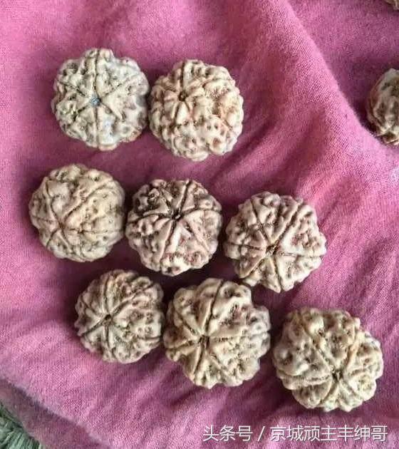 金刚菩提大讲堂之金刚菩提清洗