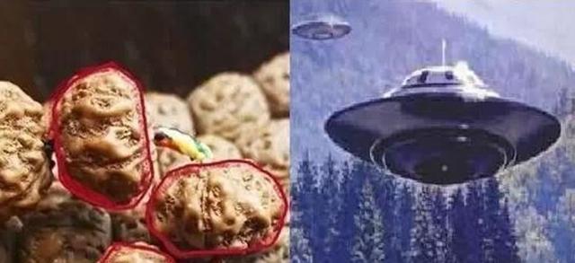 手把手教您如何挑选极品金刚菩提