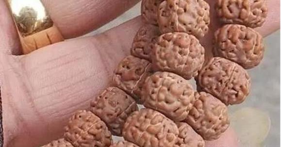 手把手教您如何挑选极品金刚菩提