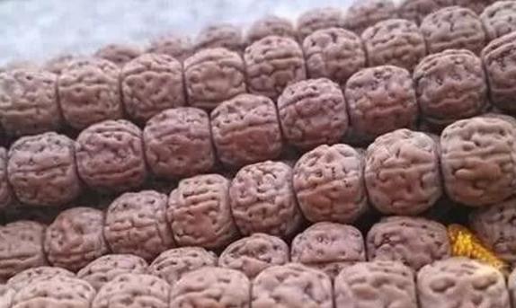 手把手教您如何挑选极品金刚菩提