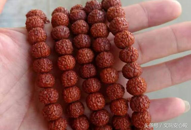 金刚菩提子玉化的过程，看看如何在三个月玉化一条金刚菩提子