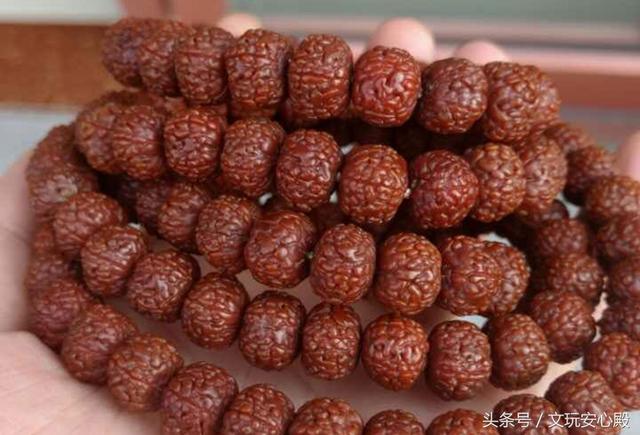 金刚菩提子玉化的过程，看看如何在三个月玉化一条金刚菩提子