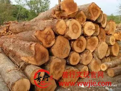 世间真正的红木只有这8类！