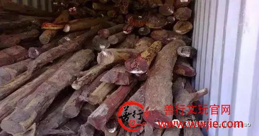 世间真正的红木只有这8类！