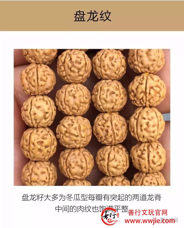 夏天最适合盘金刚菩提！但这些干货要先学起来！