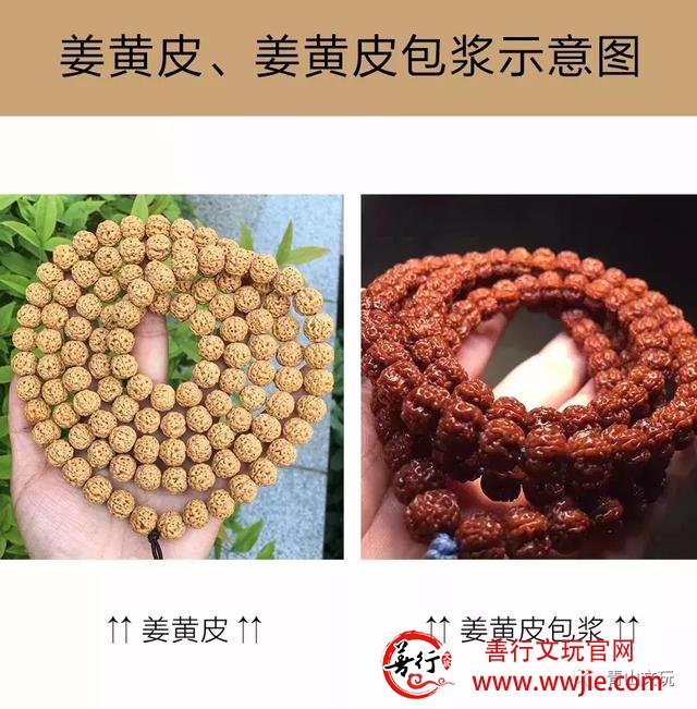 夏天最适合盘金刚菩提！但这些干货要先学起来！