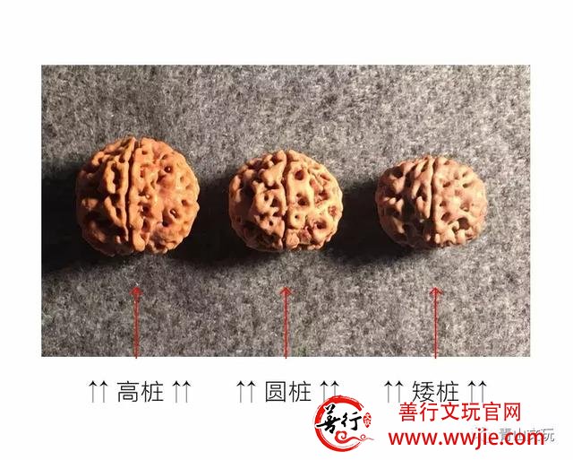 夏天最适合盘金刚菩提！但这些干货要先学起来！