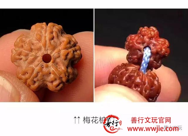 夏天最适合盘金刚菩提！但这些干货要先学起来！