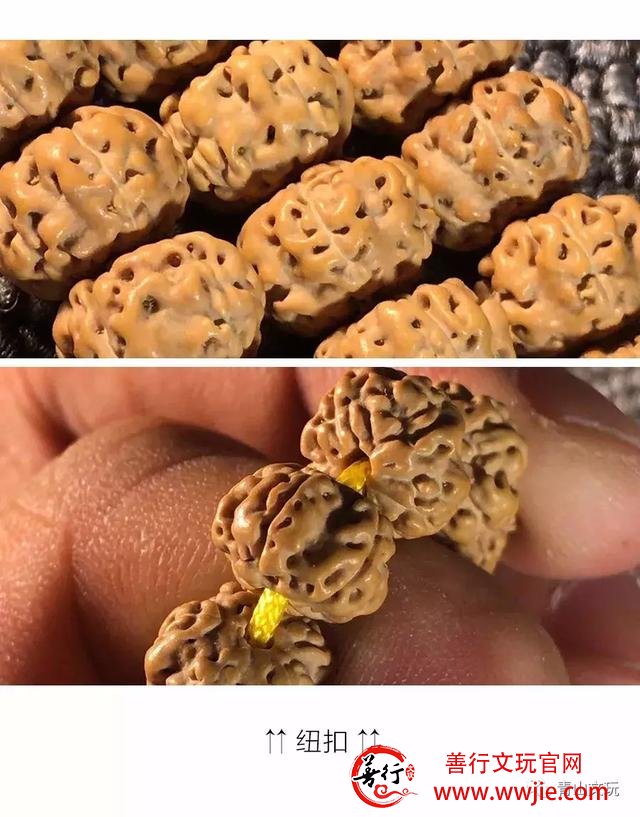 夏天最适合盘金刚菩提！但这些干货要先学起来！