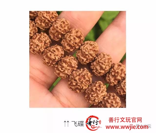 夏天最适合盘金刚菩提！但这些干货要先学起来！