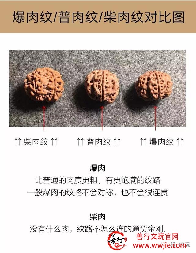 夏天最适合盘金刚菩提！但这些干货要先学起来！