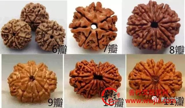 夏天最适合盘金刚菩提！但这些干货要先学起来！