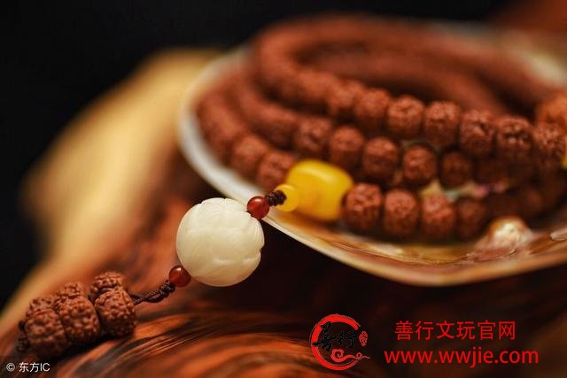 老五文玩｜扒一扒金刚菩提的前世今生，定会让你大开眼界