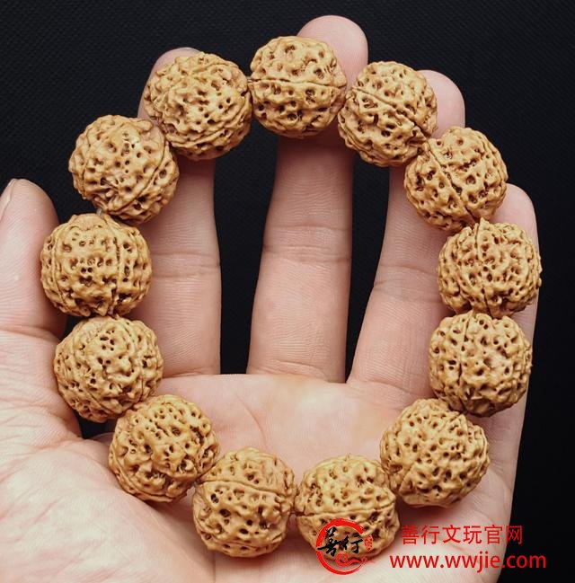 老五文玩｜扒一扒金刚菩提的前世今生，定会让你大开眼界