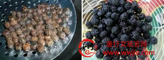 教你如何鉴别真假老金刚菩提手串？