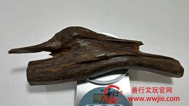 中国沉香收藏家张先生，提供珍品沉香展示欣赏