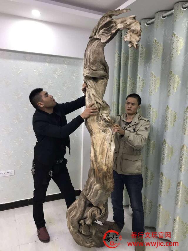 干货：崖柏爱好者如何选择崖柏原料产地
