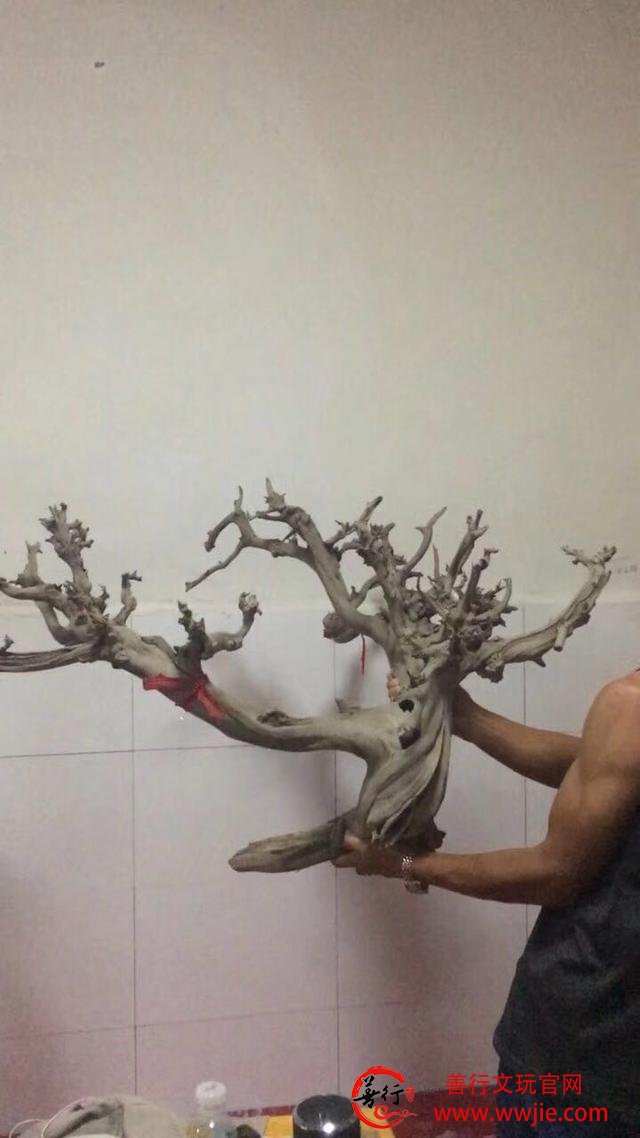崖柏贩子的功能和作用—玩崖柏必会知识