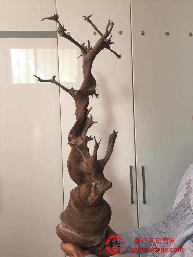 崖柏贩子的功能和作用—玩崖柏必会知识