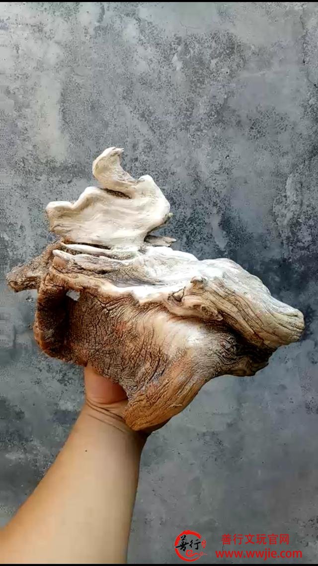 崖柏贩子的功能和作用—玩崖柏必会知识