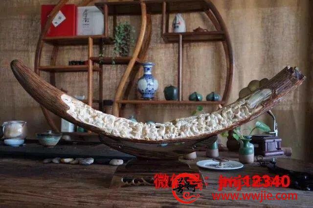 中华千年牙雕技艺得以传承延续，猛犸象牙功不可没！