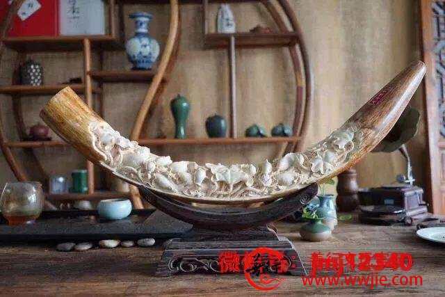 中华千年牙雕技艺得以传承延续，猛犸象牙功不可没！