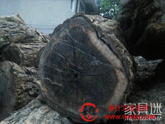 科普：阴沉木和乌木之间的区别有多大