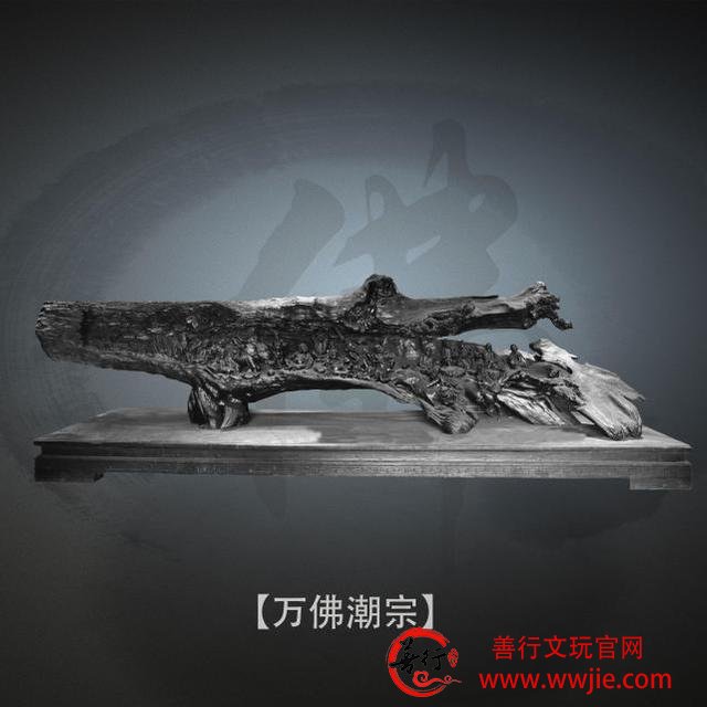乌木为什么那么珍贵？
